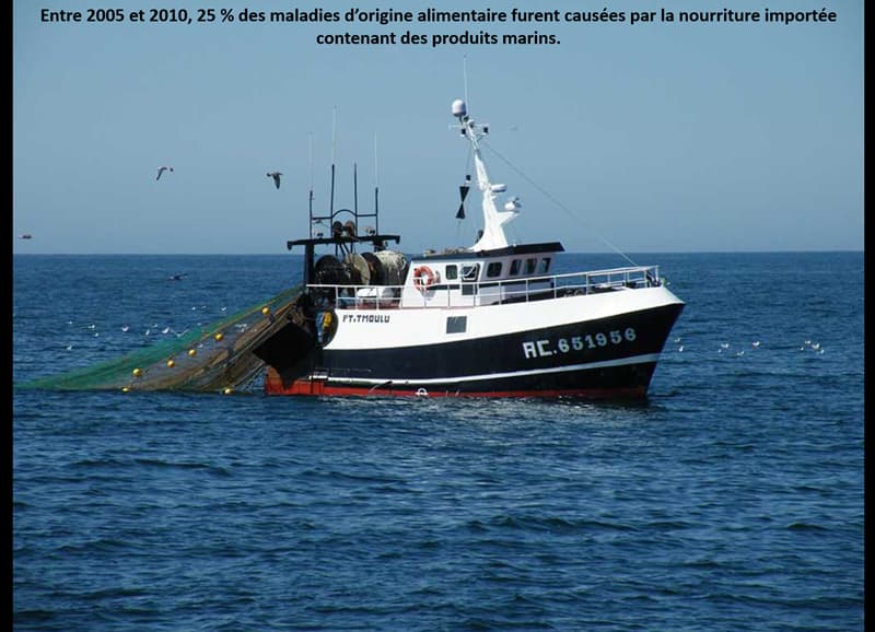 35 faits terrifiants liés à la surpêche