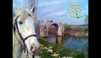 Que la Camargue est belle !
